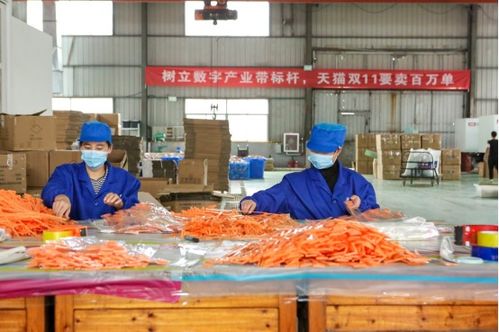 天猫双11开门红 产业带厂货成交额同比激增1700%，餐饮服务迎来消费新热潮